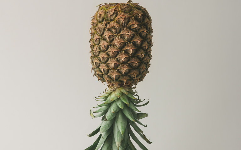 Ripe pineapple on bright background. Minimal fruit concept.